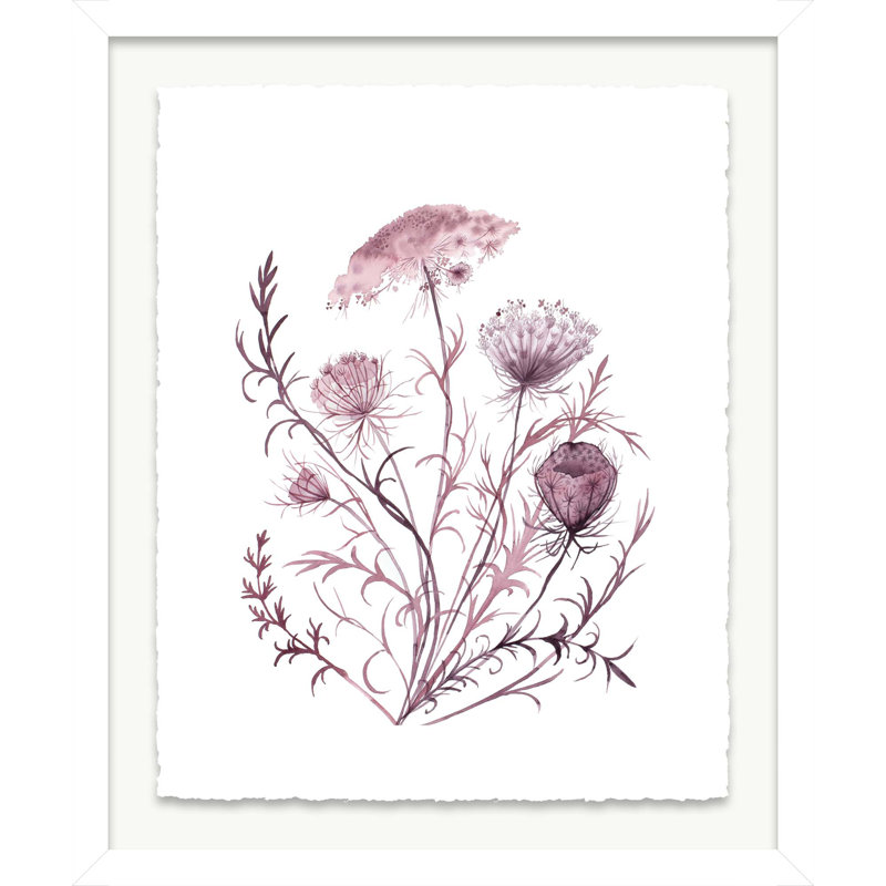 Queen Anne's Lace No. 21