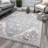 Meier Gray Area Rug-637498416
