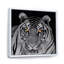 Impression monochrome sur toile, Portrait monochrome d'un tigre blanc II-66815347-66815348