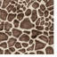 Tapis intérieur rayé à motif girafe moderne ivoire Rayna Gavin-102344744