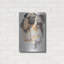 «Pug And Ghost» par Barbara Keith-647078853
