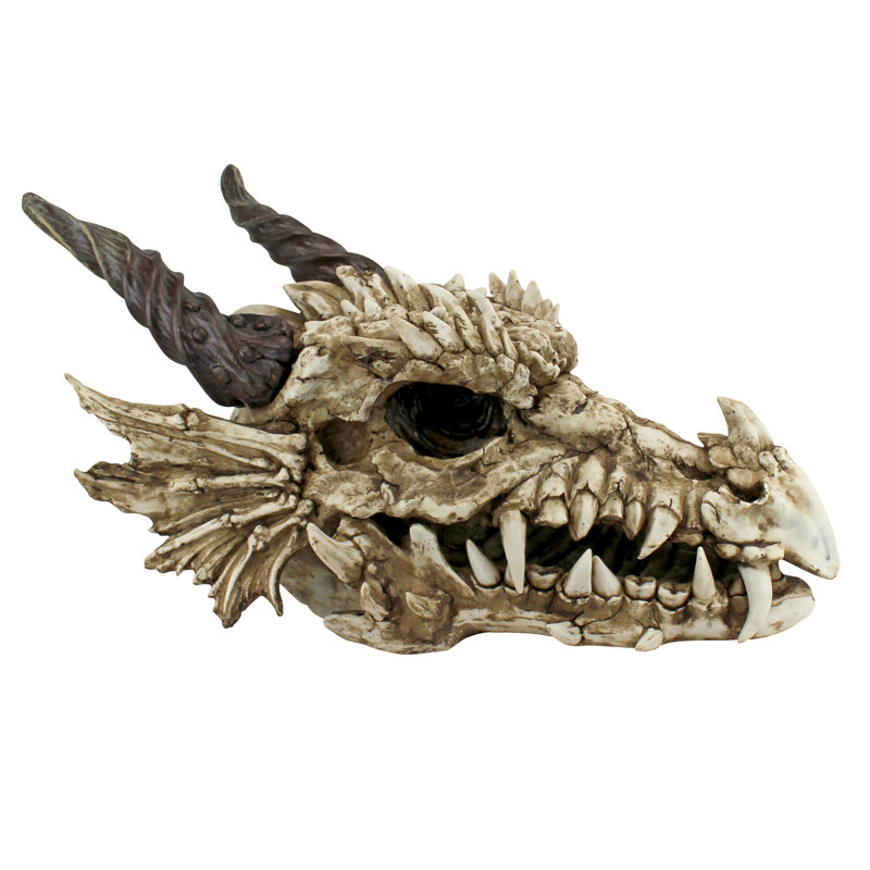 Stokers Moors Dragons Skull Statue