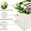 Paquet de 2 couronnes vertes Green Leaf