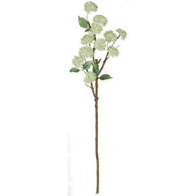 Branche à fleur boule