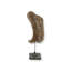 Fragment Of 17Th-C Angel Wing On Stand