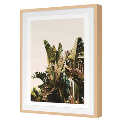Equaltorial Print by Alicia Bock