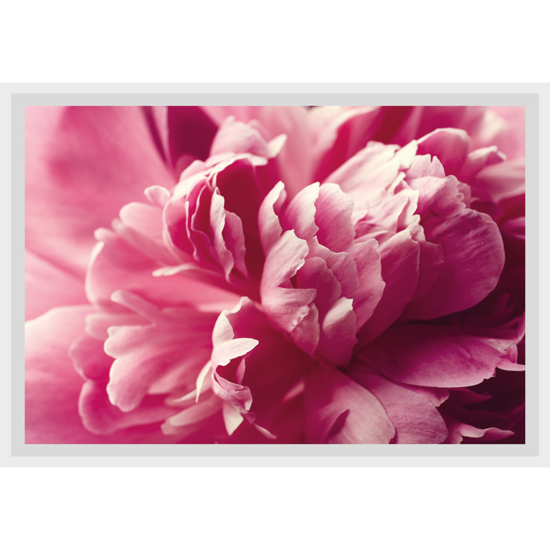Rose 1 Piece Single Picture Frame Wall Art