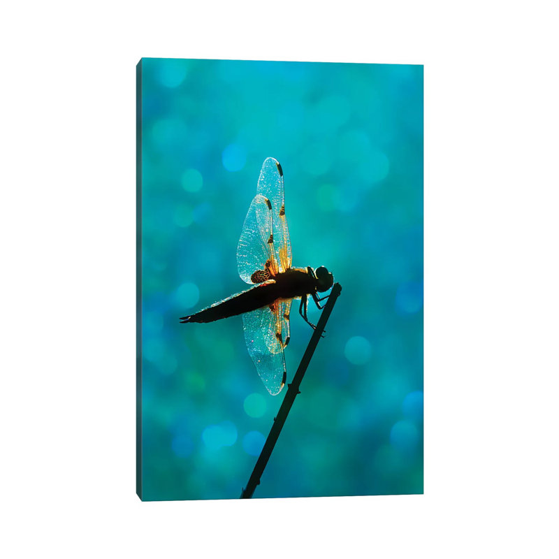 Dragonfly - Wrapped Canvas Print, 66.04 cm H x 45.72 cm W x 1.91 cm D