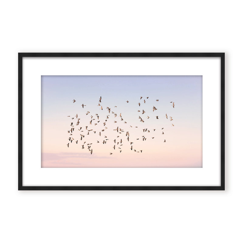 Nature Inspired Sunset Flight by  - Picture Frame Photograph on Paper, 24" H x 36" W x 1.125" D, Framed Print, White