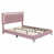 Rose est en rupture de stock