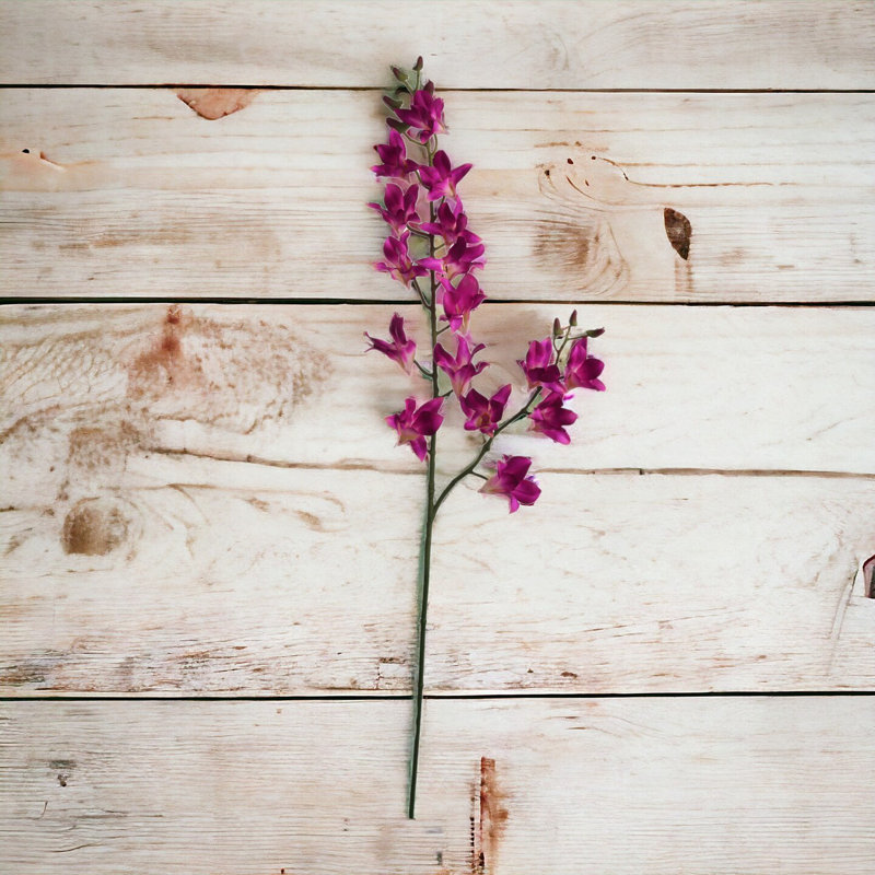 Delphinium Bush, 2