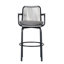 Modern Patio Bar Stools Set Of 2, Metal Rattan Chairs For Kitchen Patio