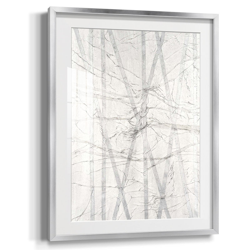 «Pewter Forrest II», reproduction encadrée, Blanc, Papier avec cadre argenté