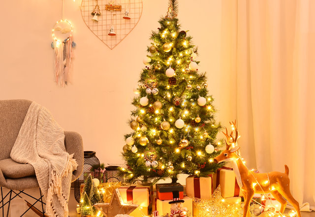 Christmas Trees for Less