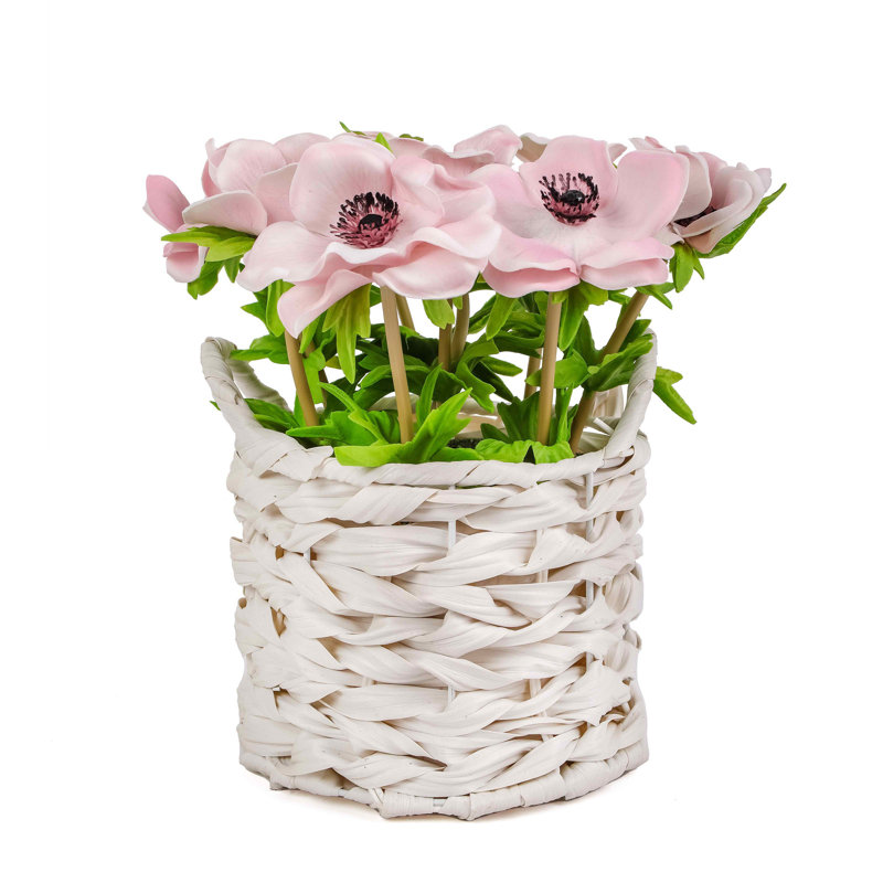 Bouquet de fleurs d'anémone dans un panier blanc, Rose