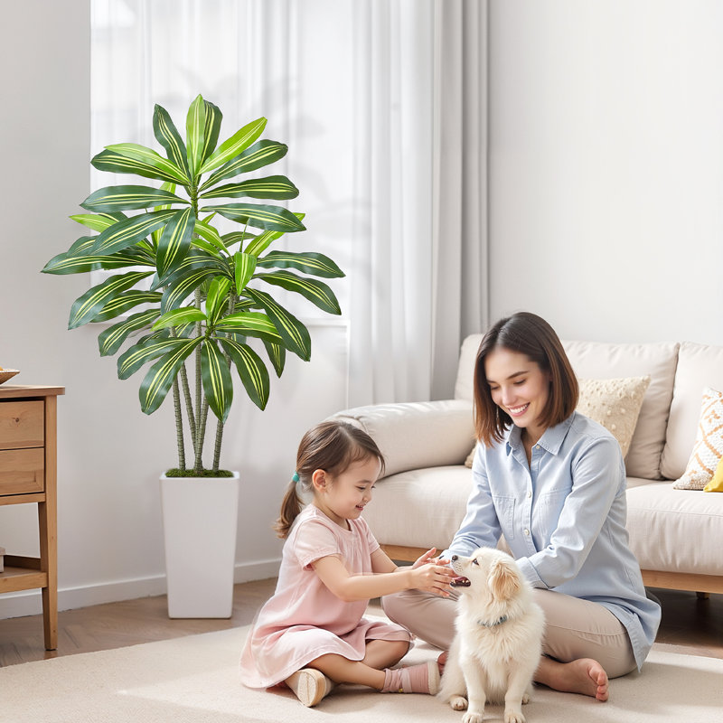 Faux Dracaena Plant in Planter, 152.4cm H x 70cm W x 70cm D