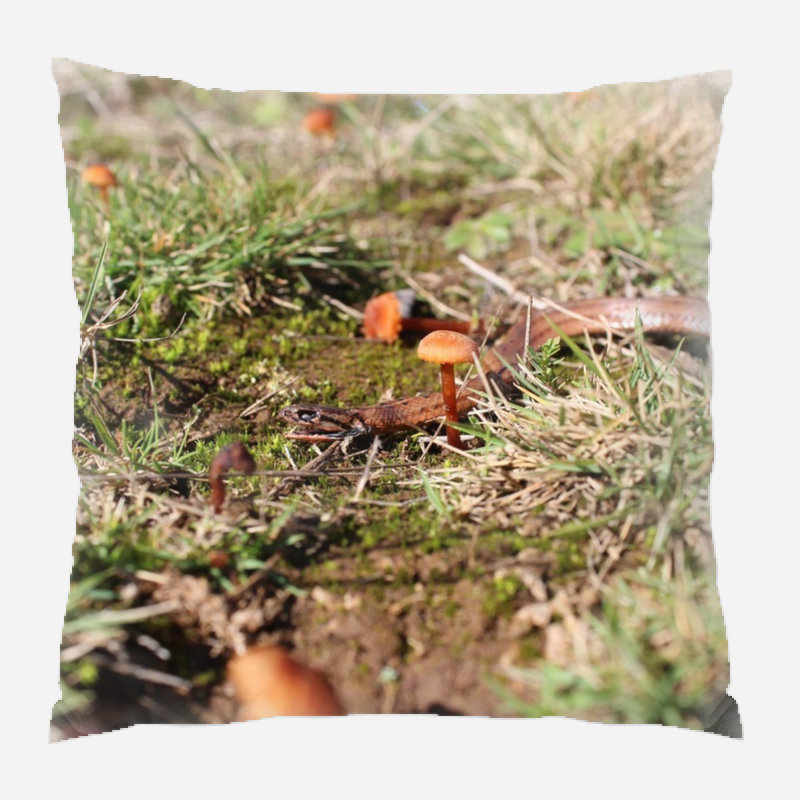 Coussin décoratif en serpent, Intérieur