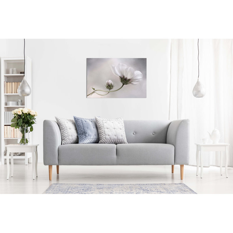 White Cosmos Flower Floral Garden - Wrapped Canvas Print, 20cm H x 31cm W