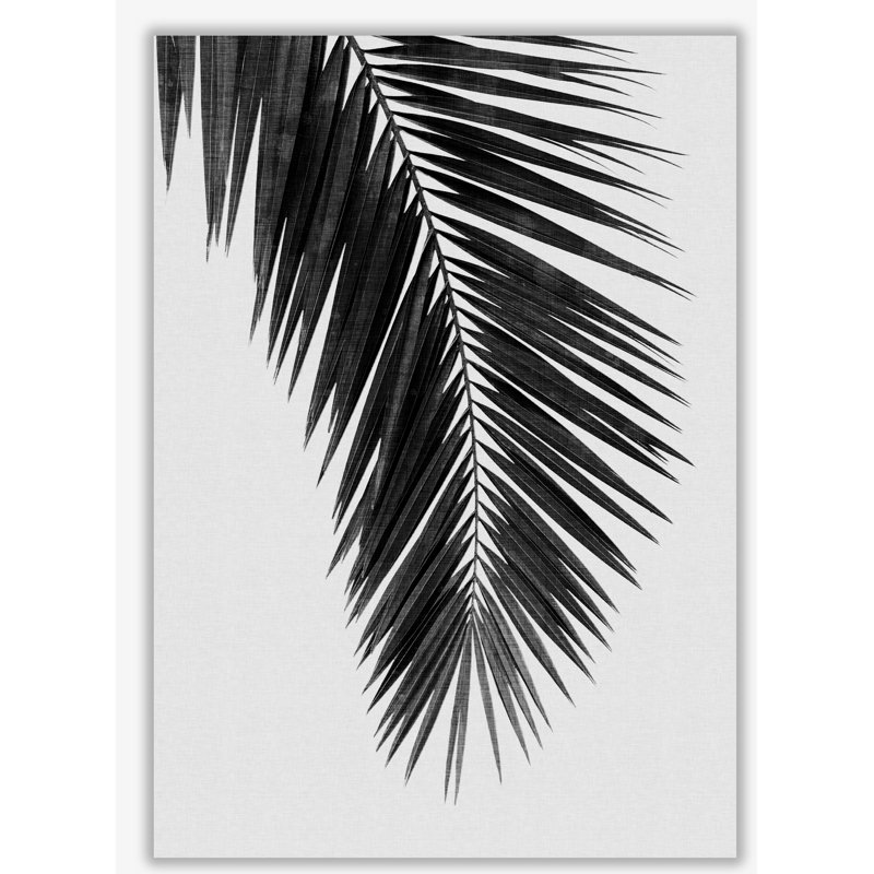 PaIm Leaf I - Print, No Frame, 60 cm H x 42 cm W x 1 cm D