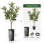 Arbre artificiel en fleur noire et blanche-104345535