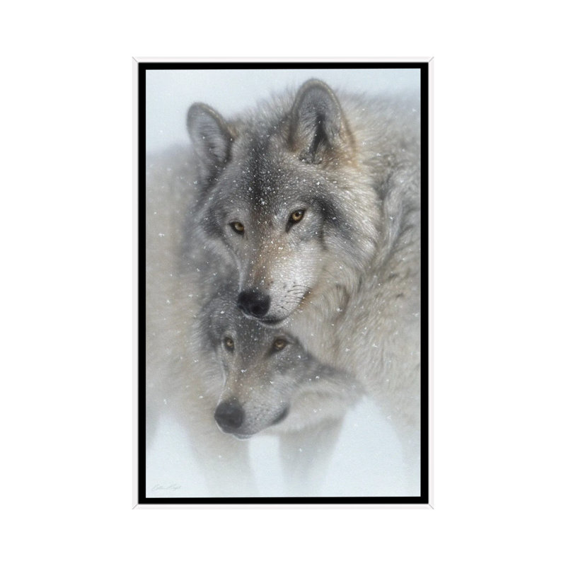 Wild Devotion - Gray Wolves, White Floater Framed Canvas, 26" H x 18" W x 1.5" D