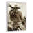 Floating Frame White