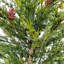 Arbre saisonnier verdure BSKT 3 pi