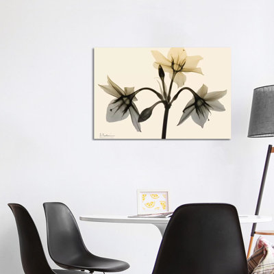Neutral Trio I by Albert Koetsier - Wrapped Canvas Print