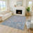 Machine Washable Indoor/Outdoor Lafferty ACN2227 Panel Rug-584592964