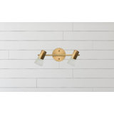 15'' 2 -Light Fixed Track Track Kit with Dimmable