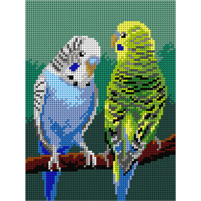 Toile à broder à l'aiguille pour demi-point sans fil Budgerigar 3578F