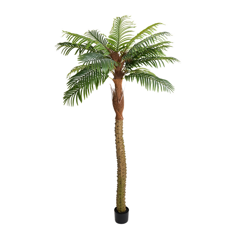 Faux Bonsai Tree in Pot, 230cm H x 106cm W x 106cm D
