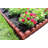 4ft. Red SmartLoc Scallop Rubber Landscape Lawn Edging