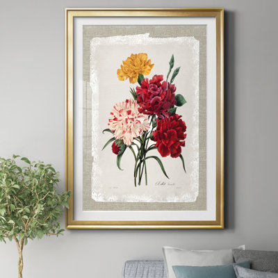 Botanical Bouquet Carnations - Reproduction d'art graphique sur papier encadré
