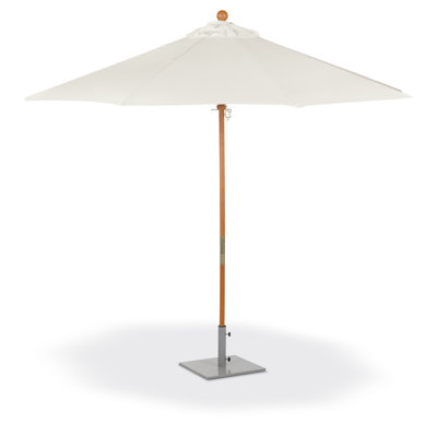 Parasol Market 9 'Jordynn