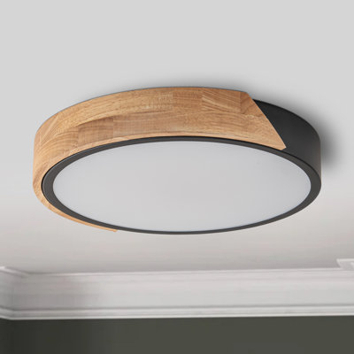 Beezie Acrylic LED Flush Mount