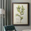 Antique Herb Botanical IV - Peinture sur toile encadrée-1076316439