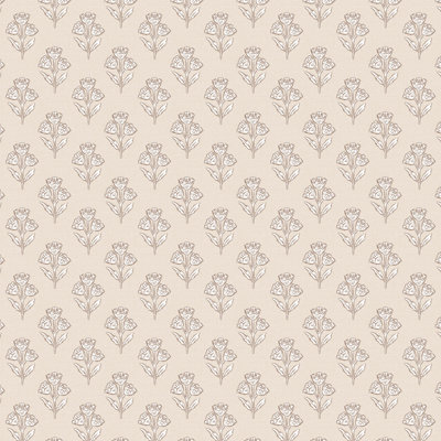 Francie Cream Sample