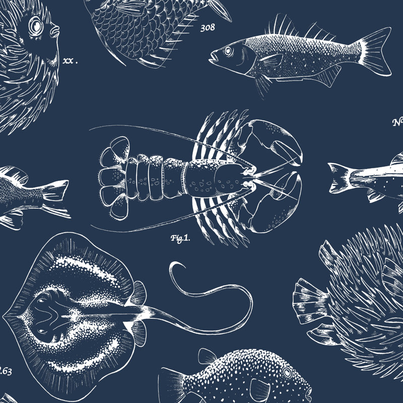 Oasis Contour Antibac Antibacterial Into the Deep Navy Fish Washable Wallpaper