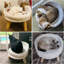 Kaela Round Pet Sofa-1375298334