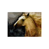 Running Brandee Painting by Beverly Fuller