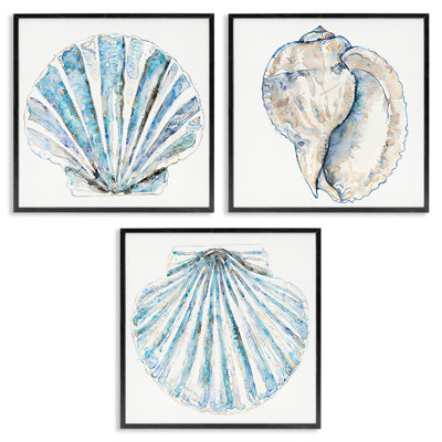 «Clam & Conch Watercolors», ensemble de 3 giclées par Christine Zalewski