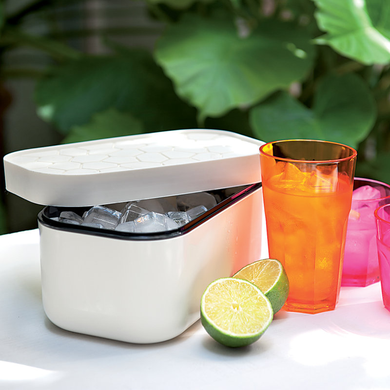  Lékué Ice Box