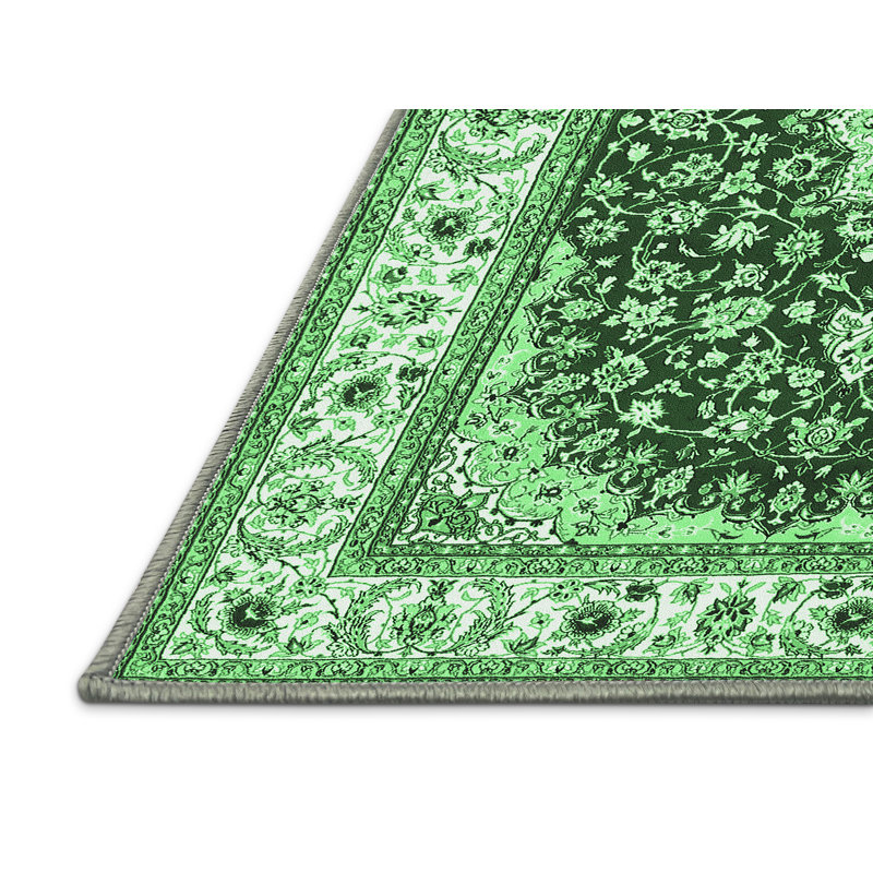 Anaila Performance Oriental Indoor Rug, Rectangle 2' x 3'
