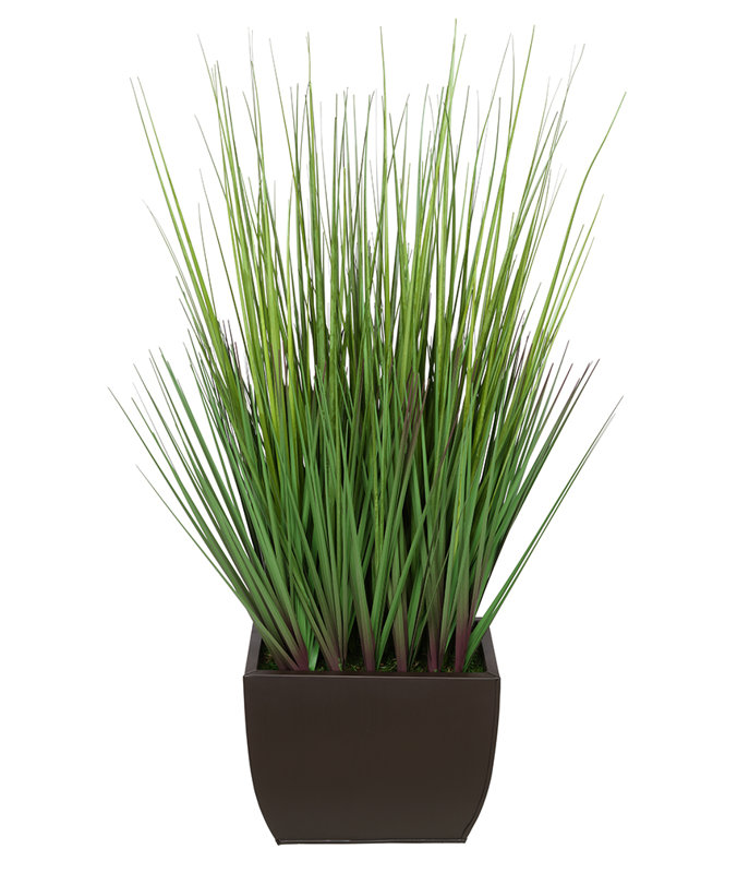 Herbe à feuillage 28 po en pot, Brun mat