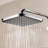 Tempesta Rain Adjustable Shower Head with DreamSpray-61501022