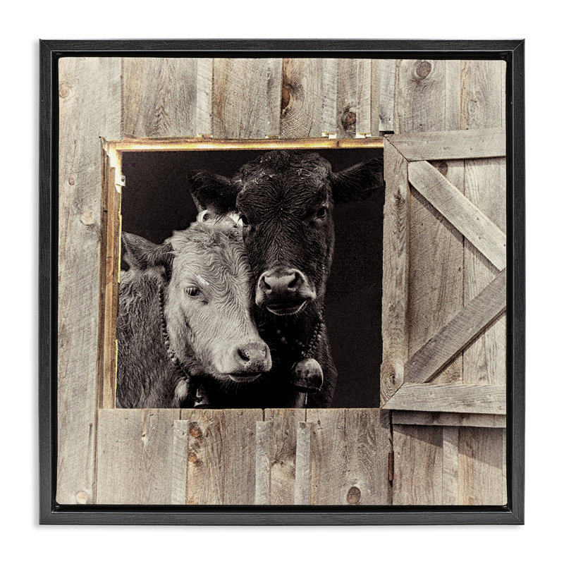 Cadre flottant Best Friends Barn, conçu par Sophie 6, Cadre flottant noir de jais, H 18 po x l 18 po