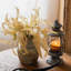 Plante eucalyptus à feuilles en soie-977680896-977680909