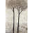 "Tall Trees Bloom" Print on Wrapped Canvas-18742168