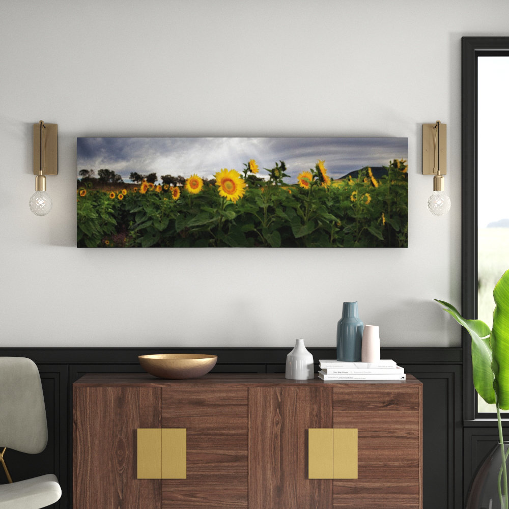 A Little Ray of Sunshine by Andrew Brown Photographic Print Wrapped on Canvas in Green/Grey